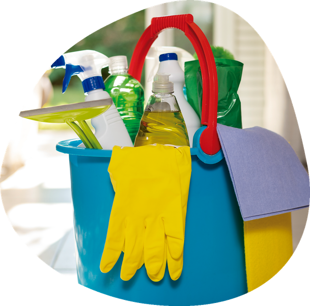 Servicios de limpieza profesional